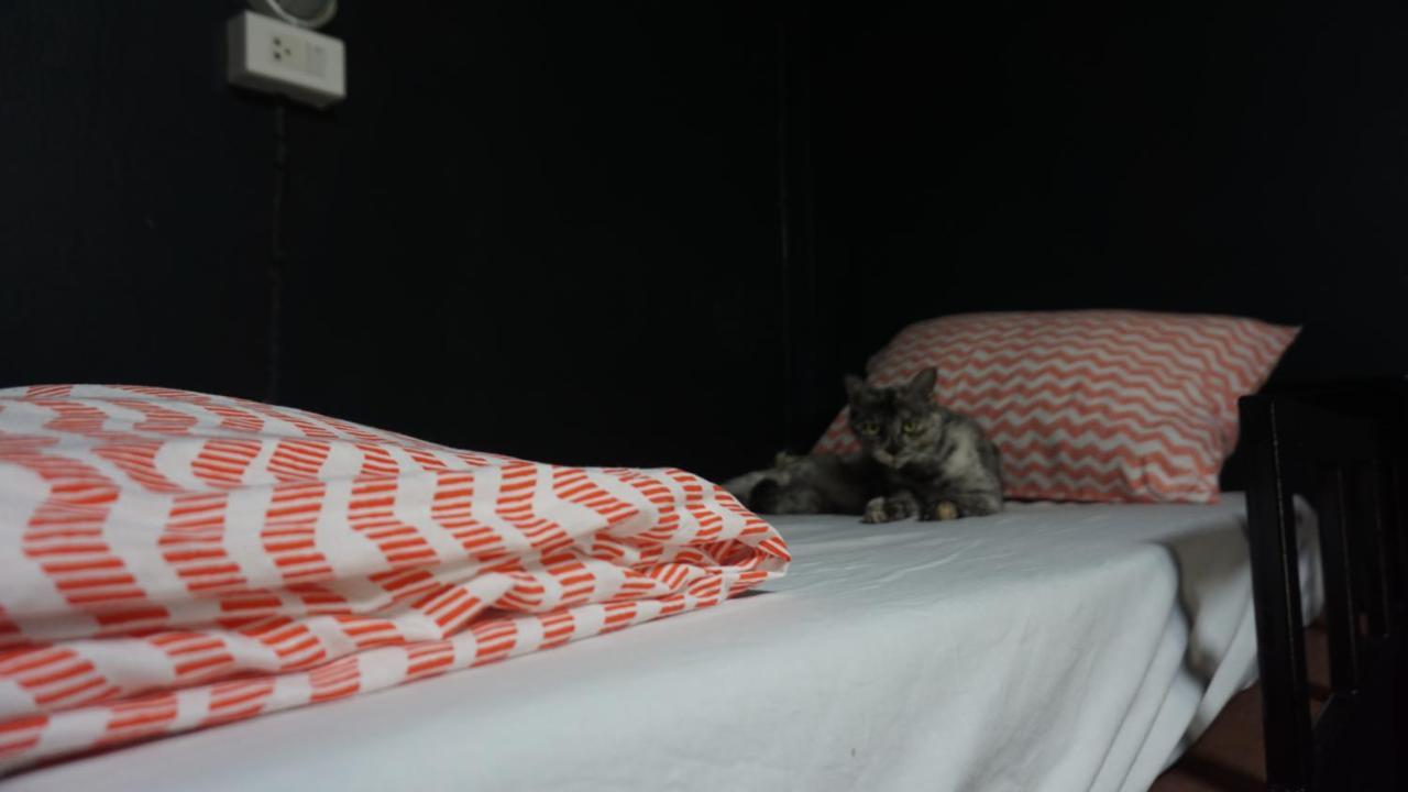 Carrot On The Moon Hostel パーイ エクステリア 写真